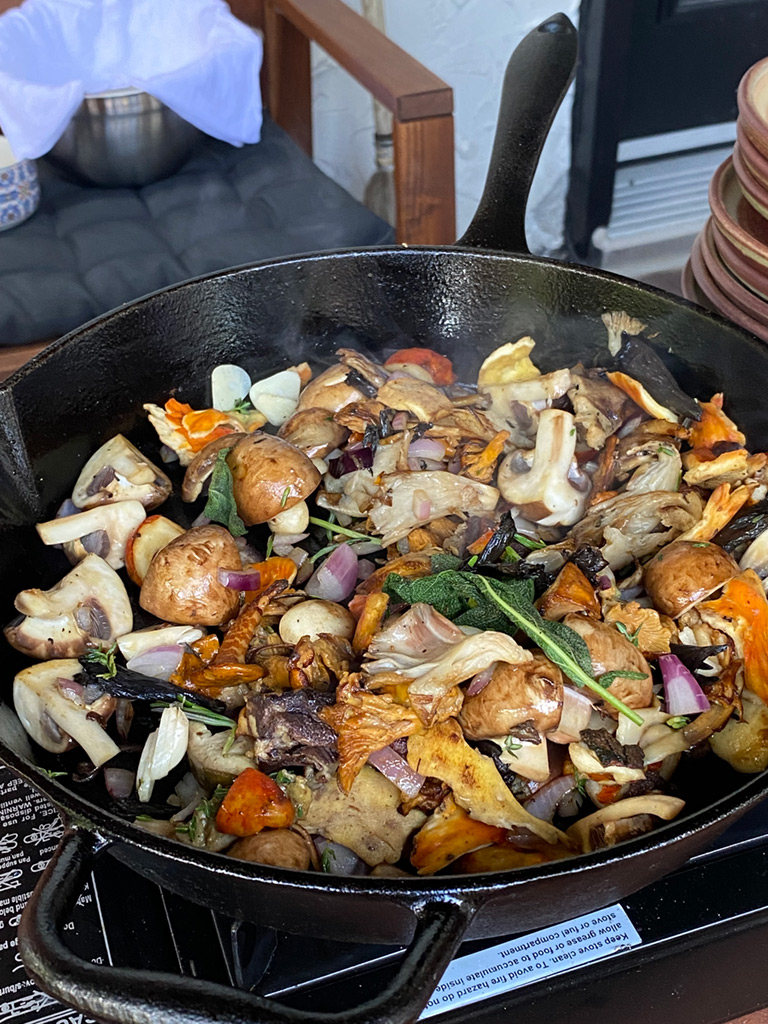 Wildcaught wild mushrooms foray and cookout August 21, 2021