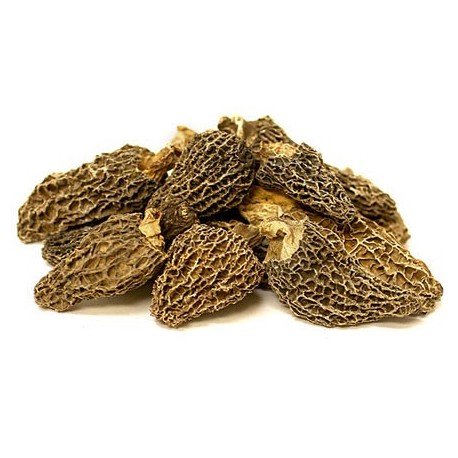 Yellow Morel