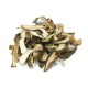 Mixed Boletes
