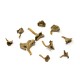 Trumpet Chanterelle