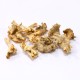 Yellow Foot Chanterelle