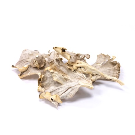 Hen of the Woods