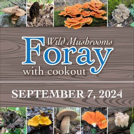Wildcaught Wild Mushroom Foray and Cookout