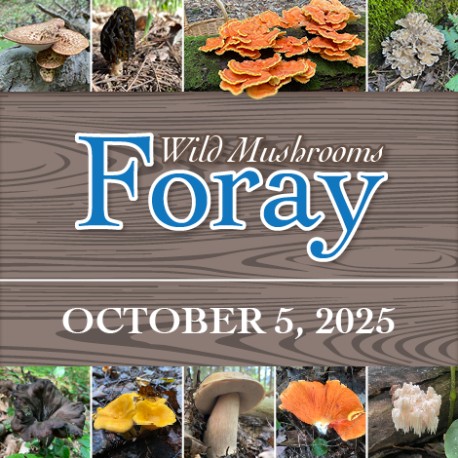 Wildcaught Wild Mushroom Foray