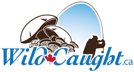 Wildcaught.ca